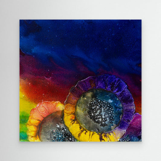 Moonflower